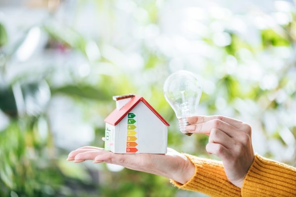 cropped-view-of-woman-holding-led-lamp-and-carton-2021-08-30-01-45-27-utc-scaled